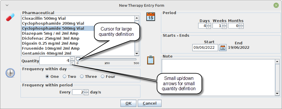 Therapy Entry Form